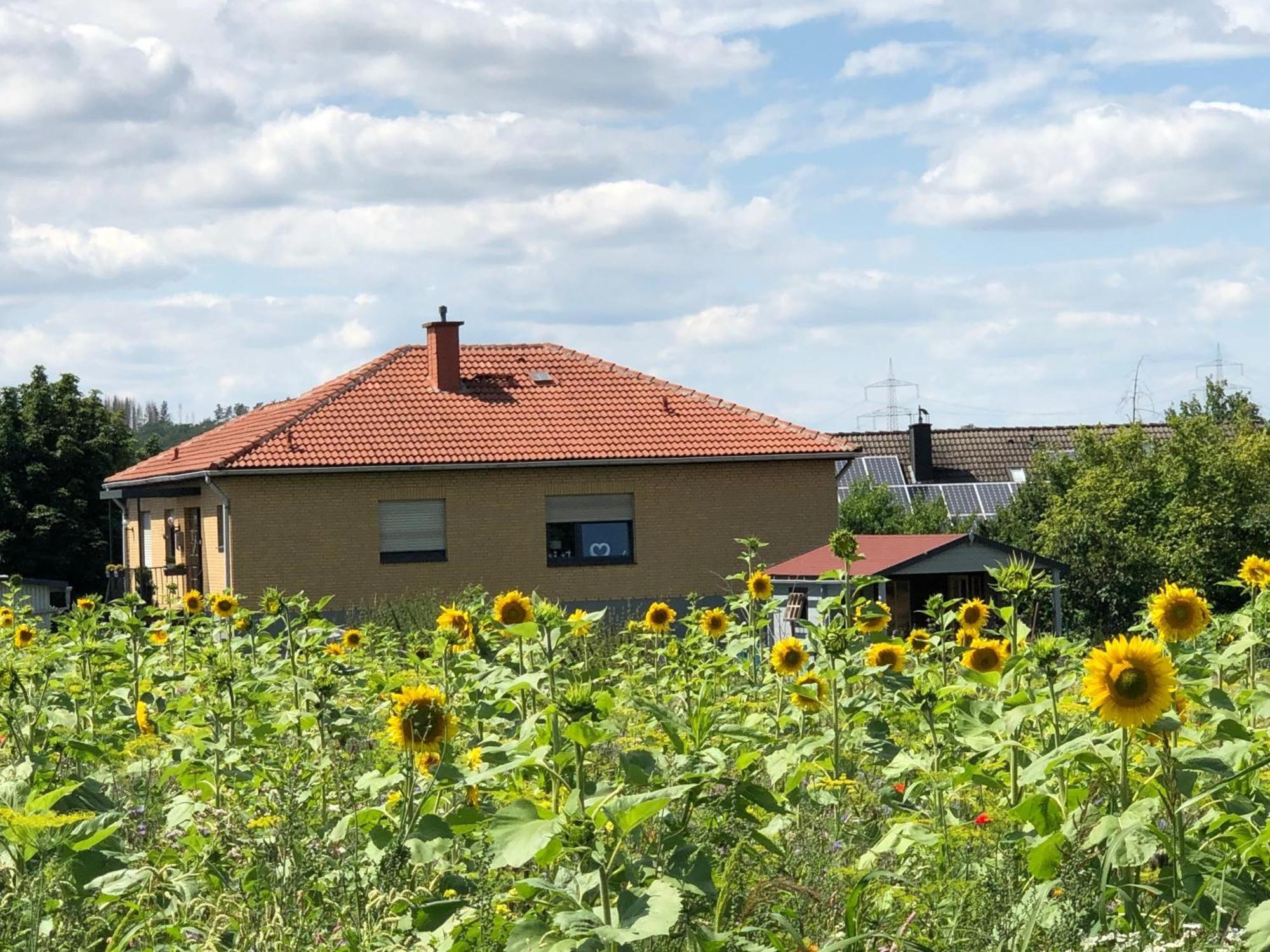 Ferienwohnung Carpe Diem Scheuerfeld Exteriör bild